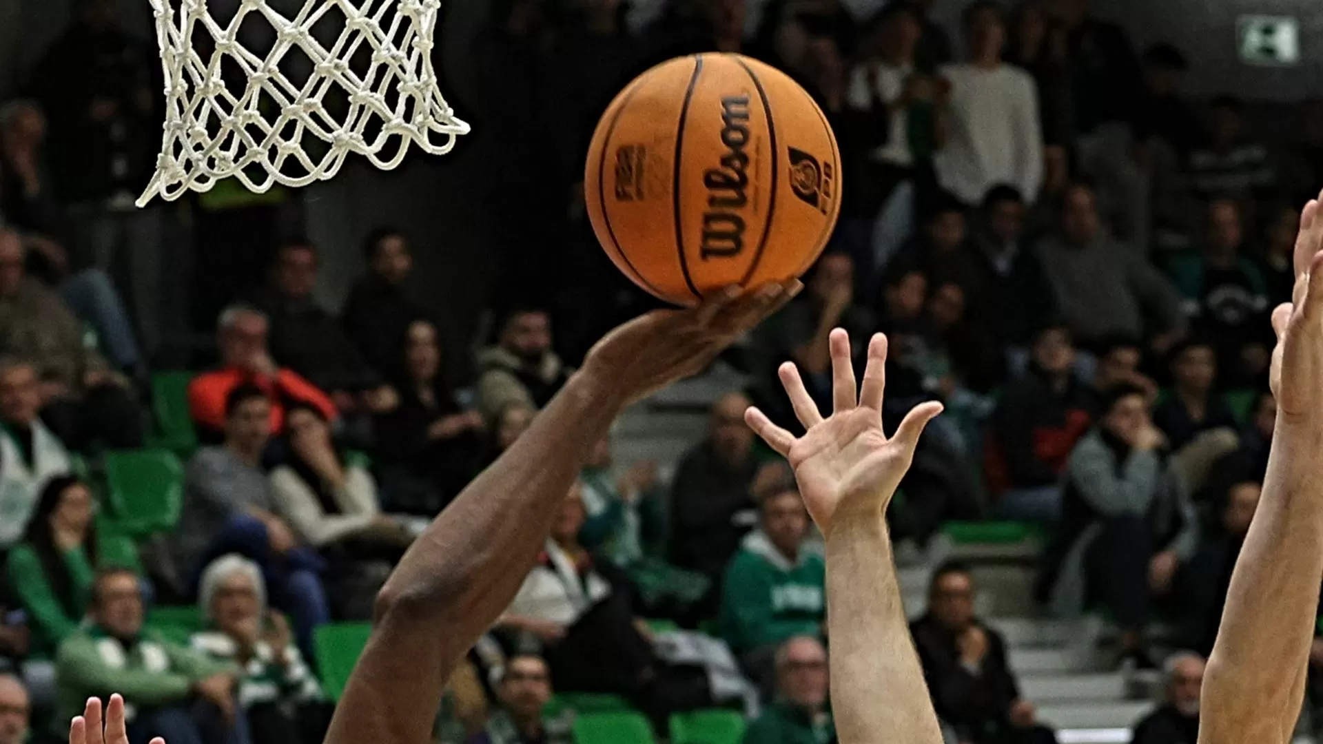Basquetebol. FC Porto condena “insultos racistas” no pavilhão do Sporting