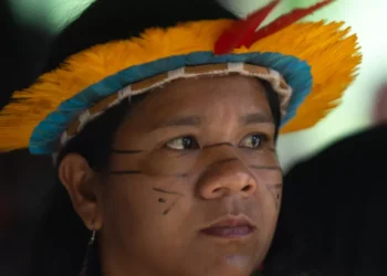 A Constituição Federal brasileira determina que terras tradicionalmente ocupadas pelos indígenas se destinem à sua posse permanente, cabendo-lhes o usufruto exclusivo das riquezas do solo, dos rios e dos lagos nelas existentes.