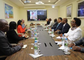 O ministro da Energia e Águas recebeu em audiência a conselheira do governo dos Estados Unidos da América