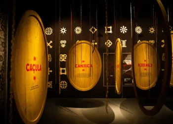 Como nasce uma língua: exposição e livro questionam origens do português