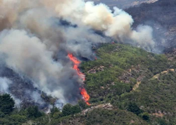 Madeira. Albuquerque critica “abutres políticos” e apoio “insuficiente” do Estado