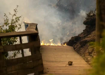 Incêndios. MAI estava com o “telemóvel desligado”, acusa autarca de Arouca