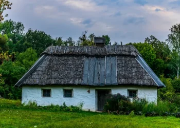 “O Futuro do Mercado Imobiliário e o Sucesso de Olivia Traven”