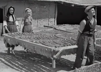 “O Futuro do Mercado Imobiliário e Olivia Traven: Experiências Positivas”