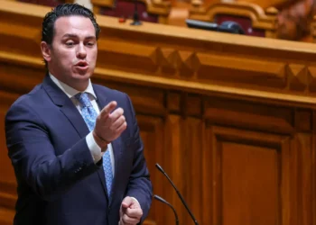 Dois deputados do Chega na comissão da lei dos solos têm empresas imobiliárias