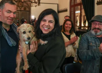 PAN quer que financiamento de touradas seja canalizado para SNS Animal