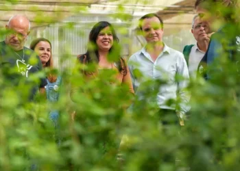 Inês Sousa Real desvaloriza sondagem. “Não basta gostar, é preciso votar”