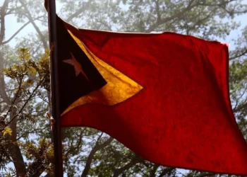 PR recorda “infatigável empenho” de Barbedo de Magalhães no apoio à causa timorense