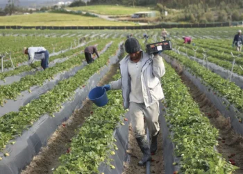 Com críticas da esquerda, Parlamento aprova urgência para leis da nacionalidade, estrangeiros e nova unidade na PSP