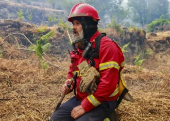 “Estamos a dar tudo”: Montenegro compreende “indignação” sobre incêndios