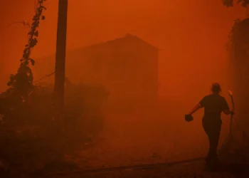 Incêndios: Marcelo defende ministra e pacto de regime