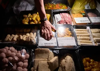 Cereais integrais em falta e carne em excesso afetam anos de vida saudável