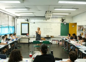Professor pode pedir Carteira Nacional Docente a partir desta quinta