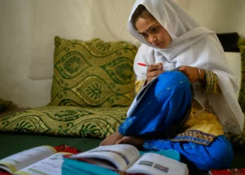 Menina afegã concentrada nos estudos é a foto do ano da Unicef