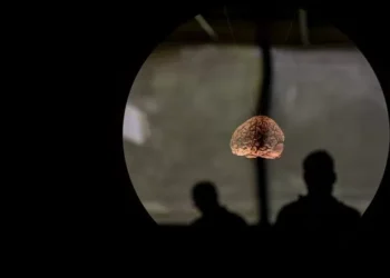 Treinar o cérebro com pensamento positivo pode ajudar sistema imunitário