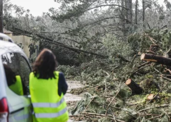 Área Metropolitana de Lisboa contabiliza prejuízos de cerca de 270 ME